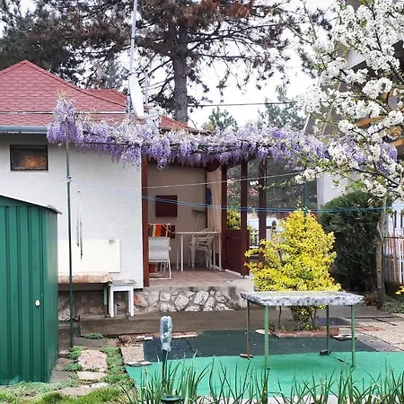 Pine Square House Wifi Case de vacanță